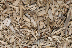 biomass boilers Birsemore